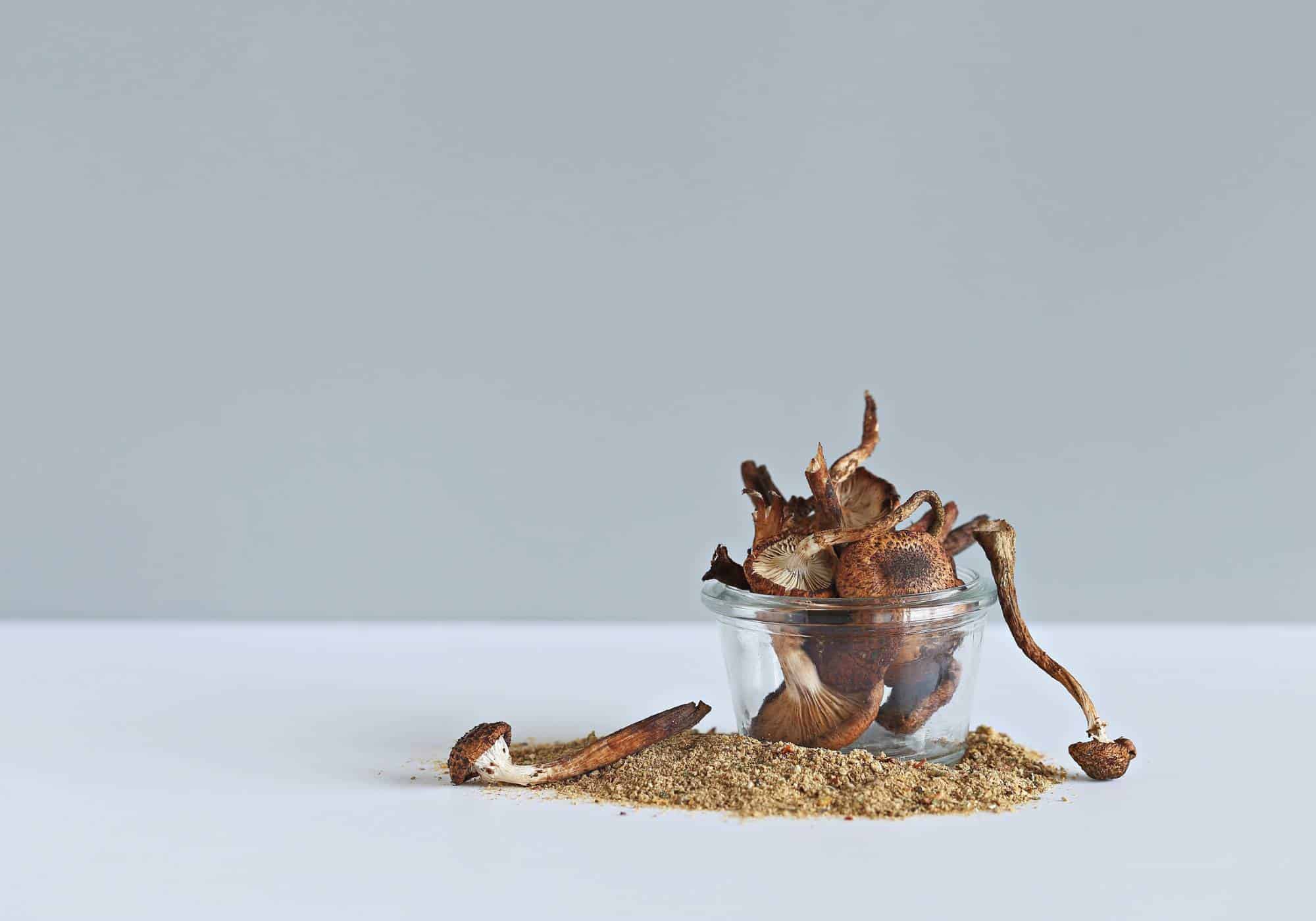 How Long Do Magic Mushroom Stay in Your System