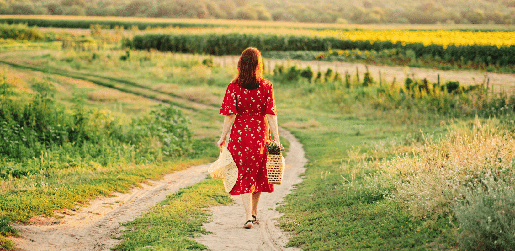 Late-Summer Mental Health Check: Are You on Track?