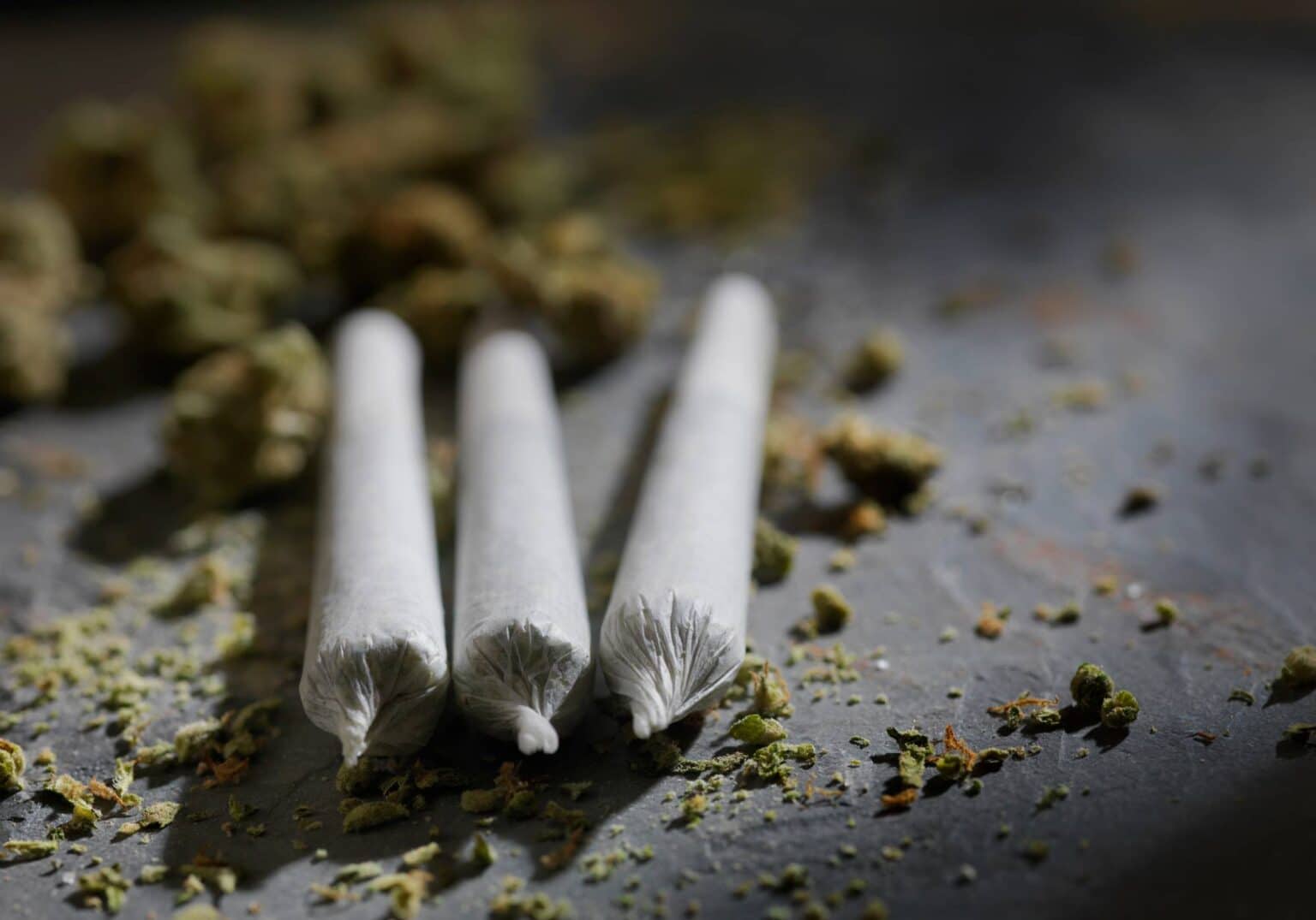 does tobacco kill germs WHO EMRO