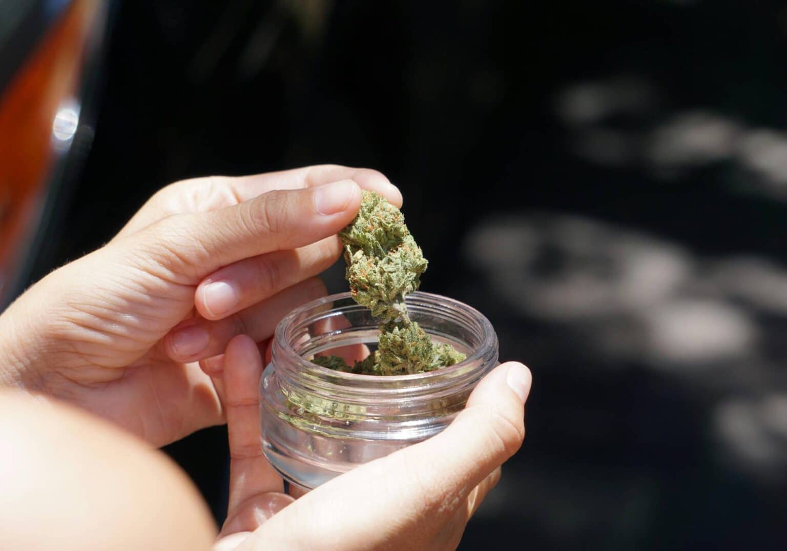 Does Marijuana Kill Brain Cells?