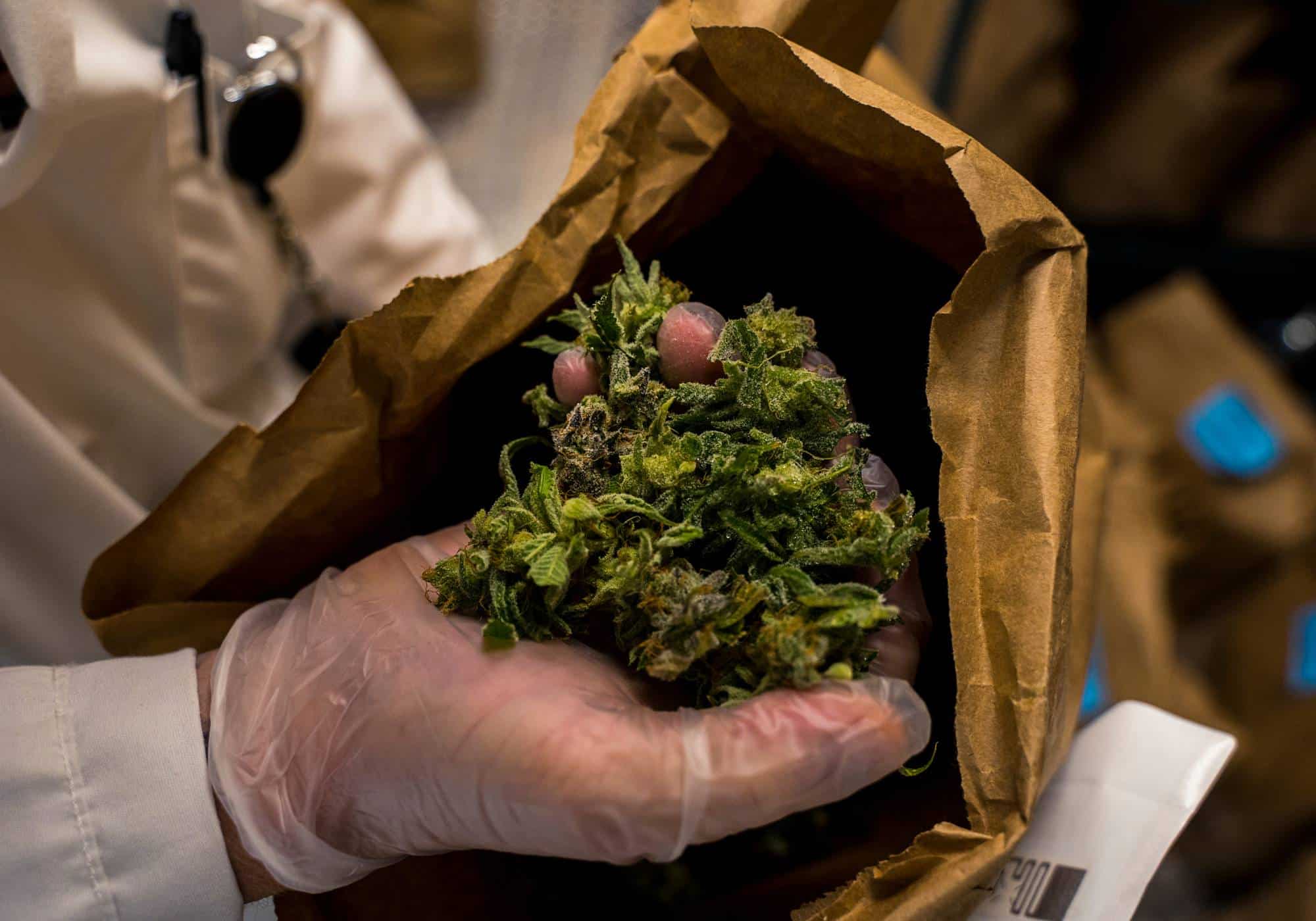 What is Hash (Hashish)?